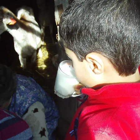 Сasa de vacaciones Casas Da Encosta *