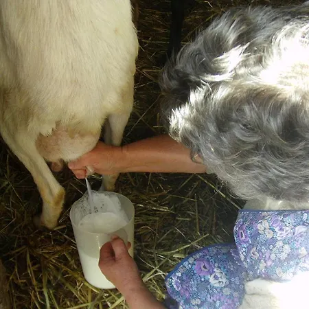 Сasa de vacaciones Casas Da Encosta Proença-a-Nova