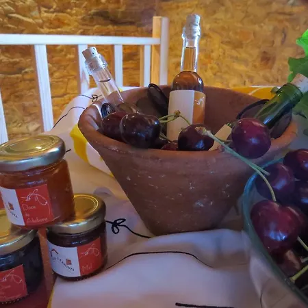 Casas Da Encosta Hébergement de vacances *