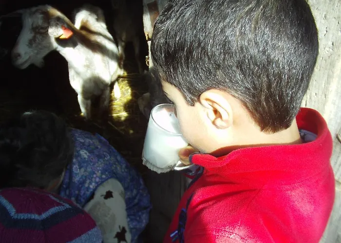 Semesterbostad Casas Da Encosta *