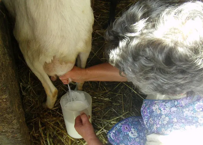 Feriehus Casas Da Encosta Proença-a-Nova